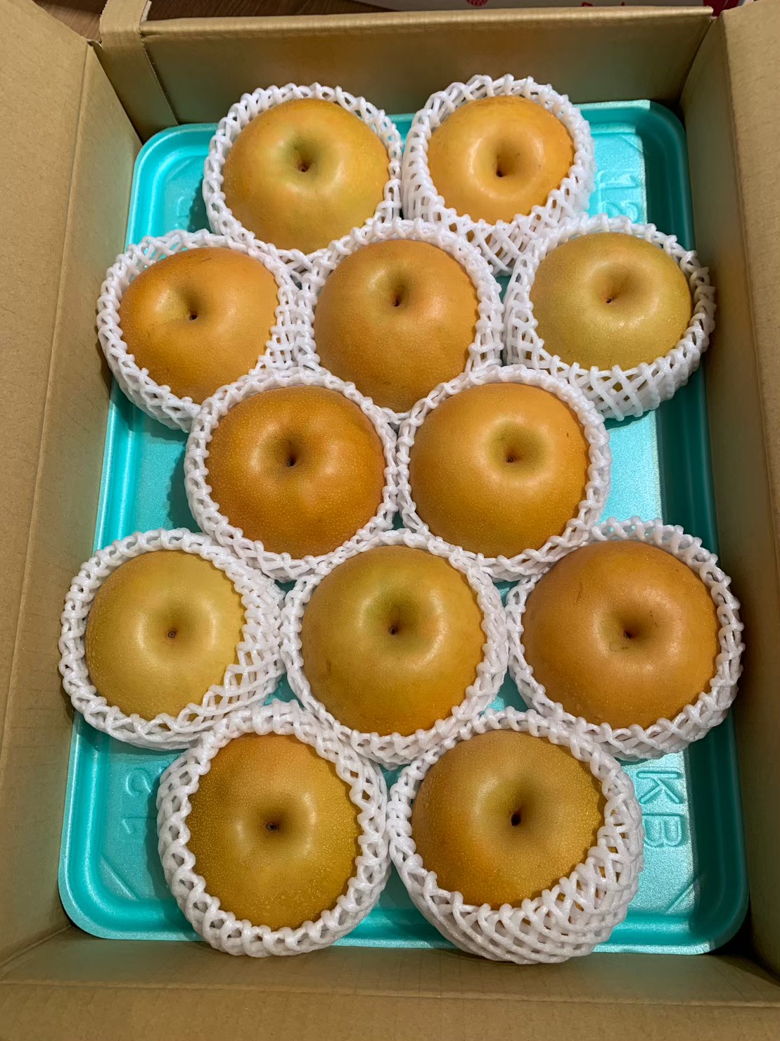 南水梨(なんすい)