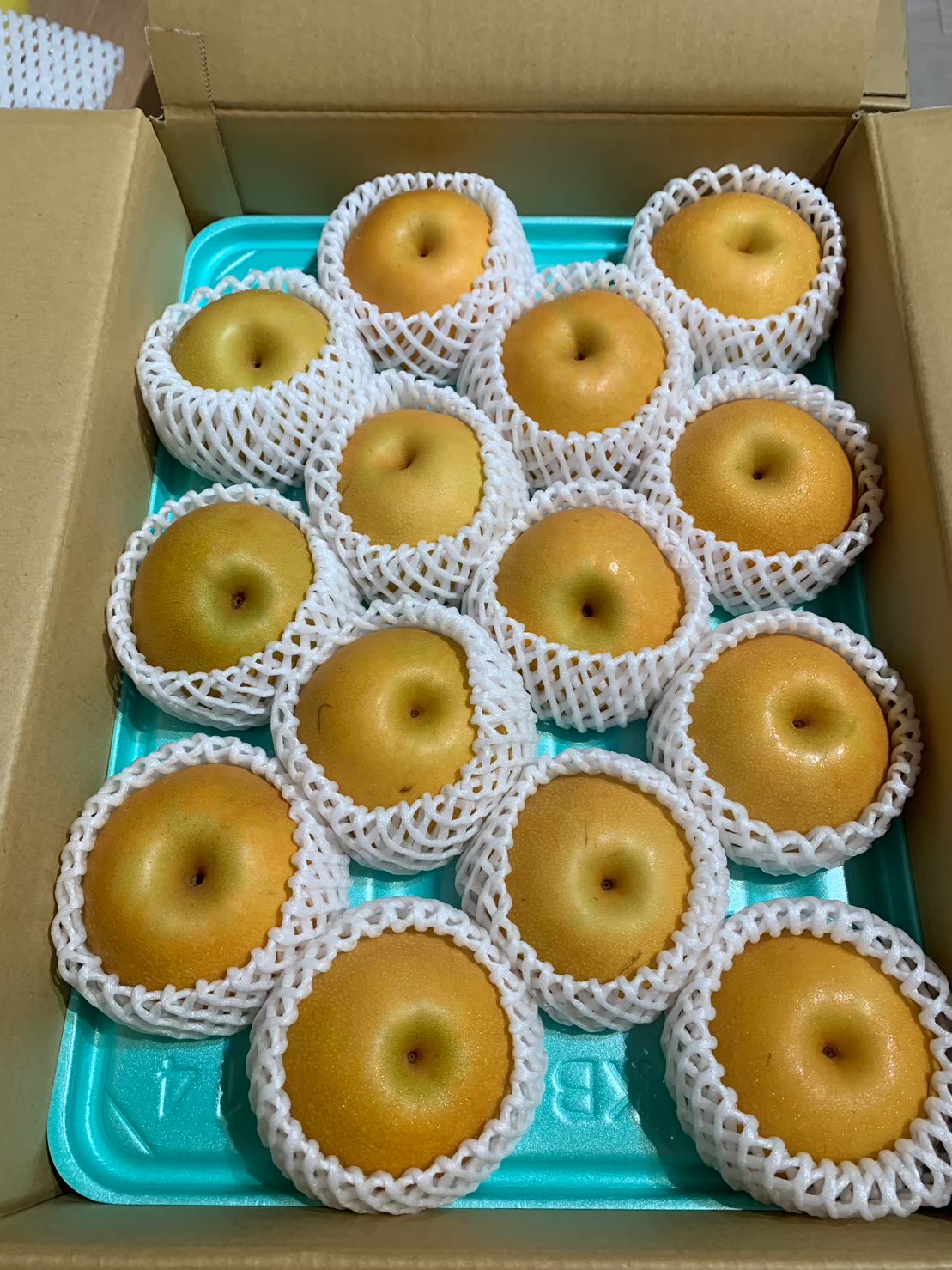 南水梨(なんすい)