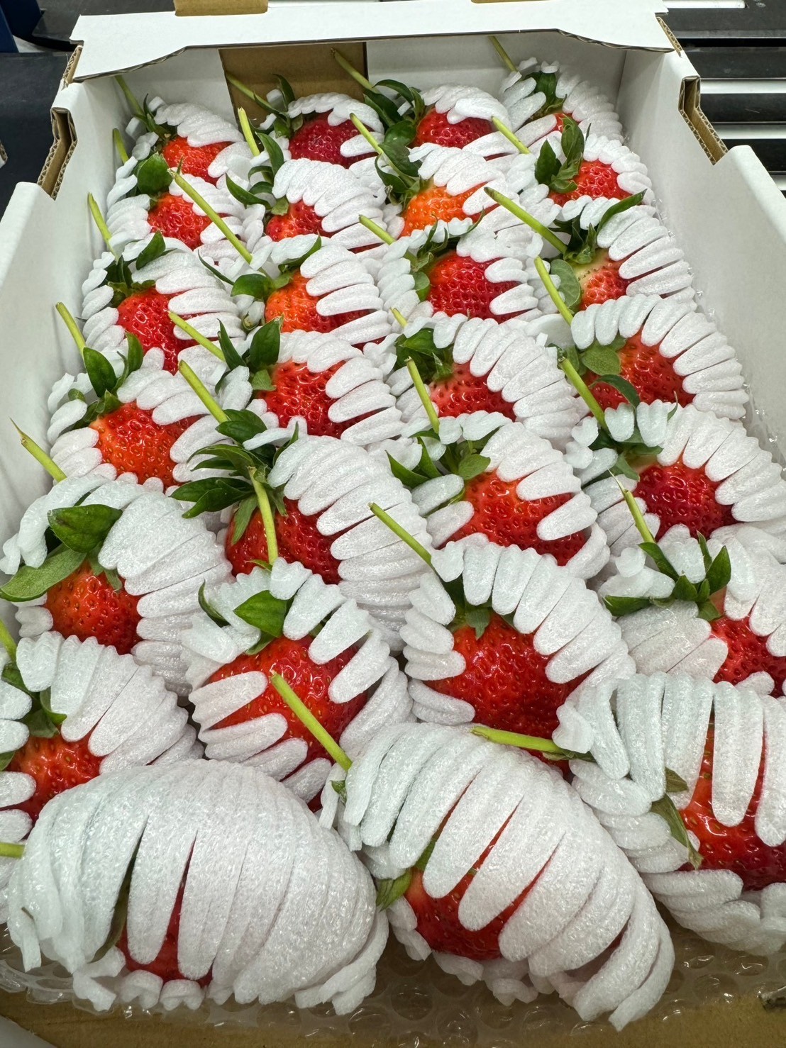 德島勝占夢香(ゆめのか)