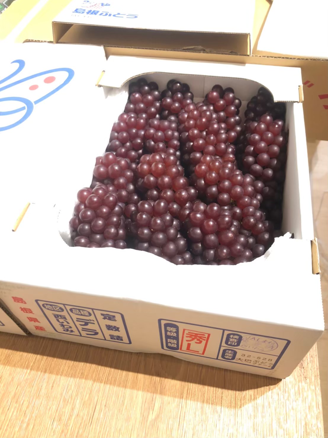 香檳珍珠葡萄(デラウェア)