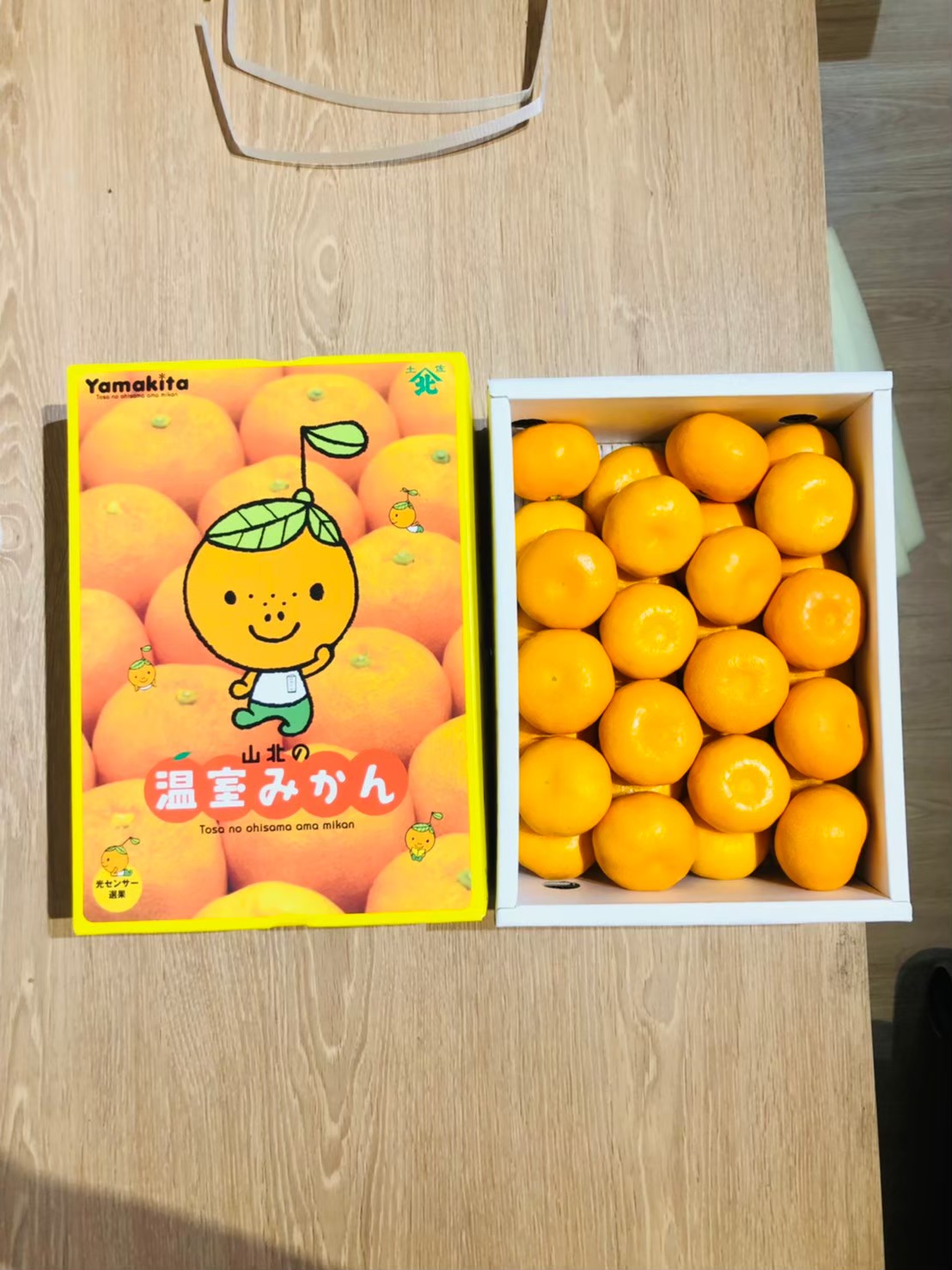高知山北蜜柑