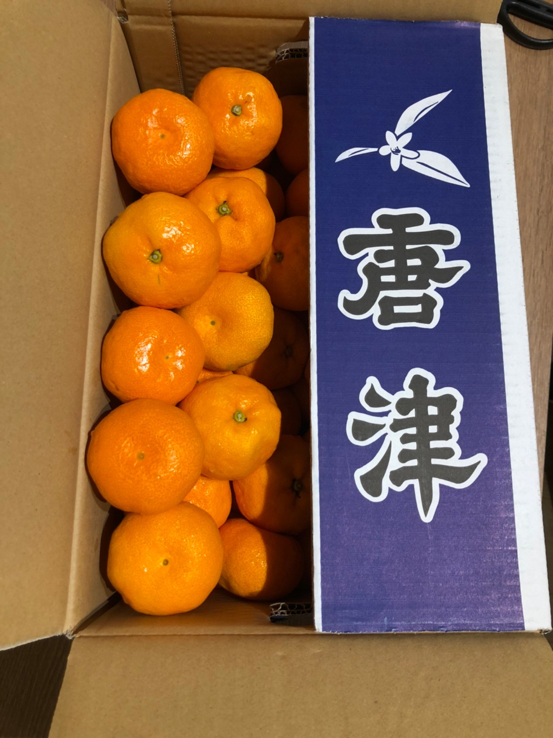 佐賀唐津蜜柑
