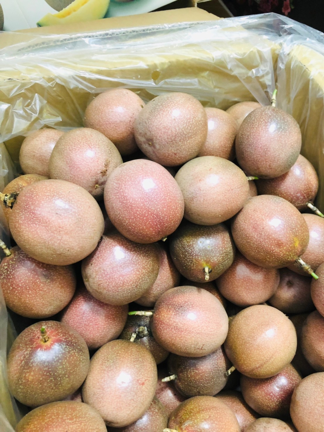 (都香三號)19度的百香果