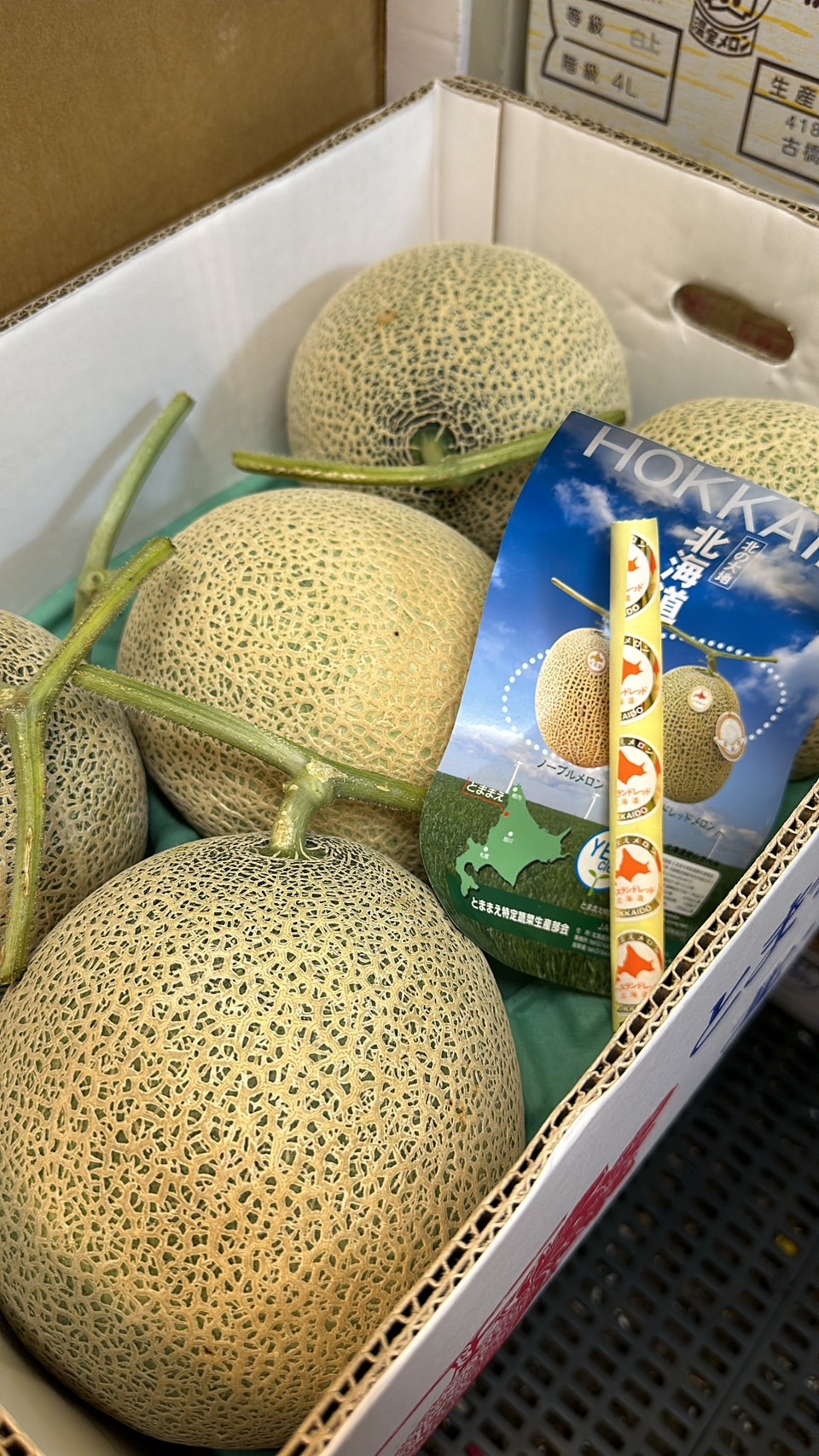 北海道-苫前町哈密瓜