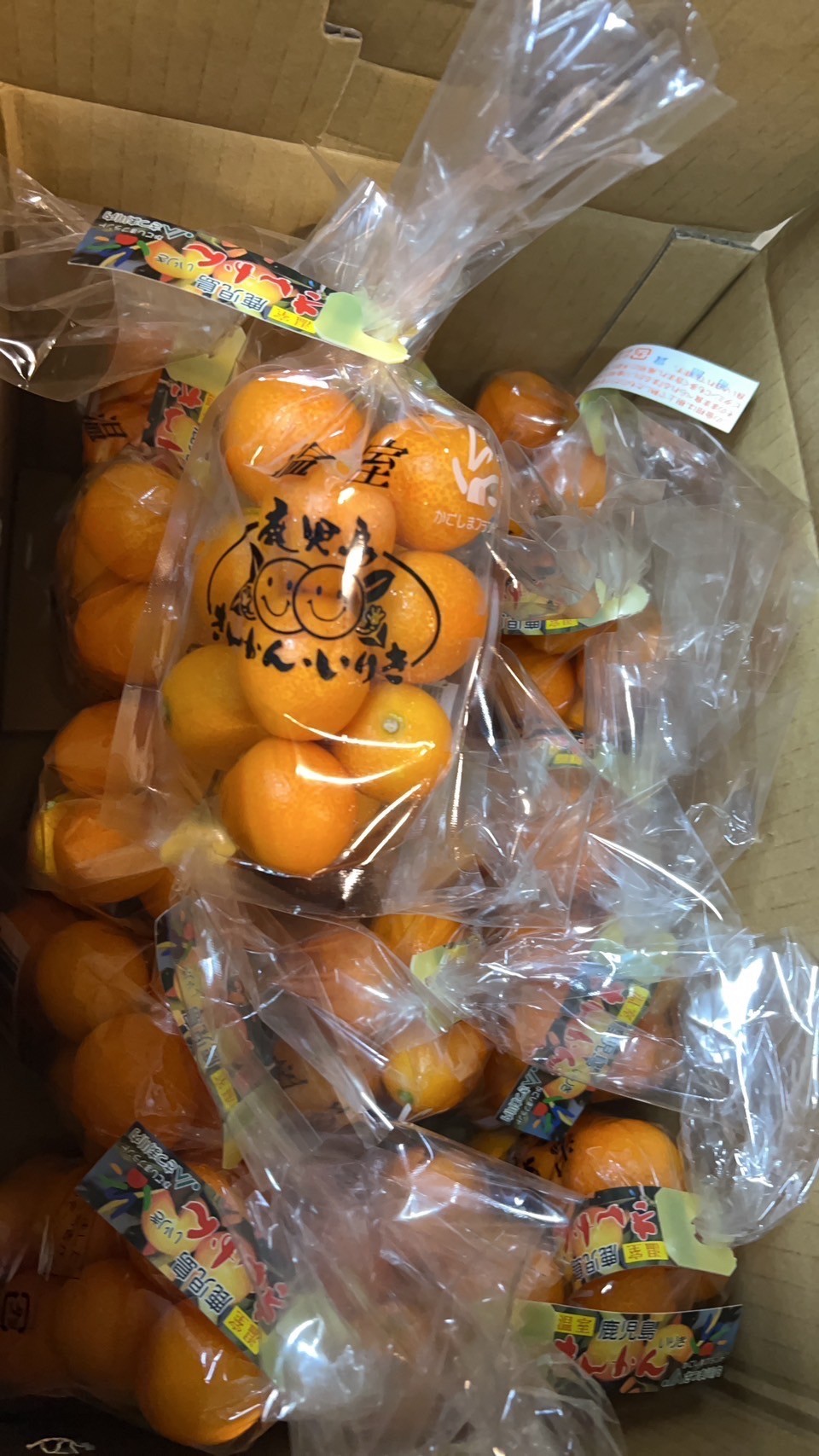 鹿兒島金桔（きんかん）