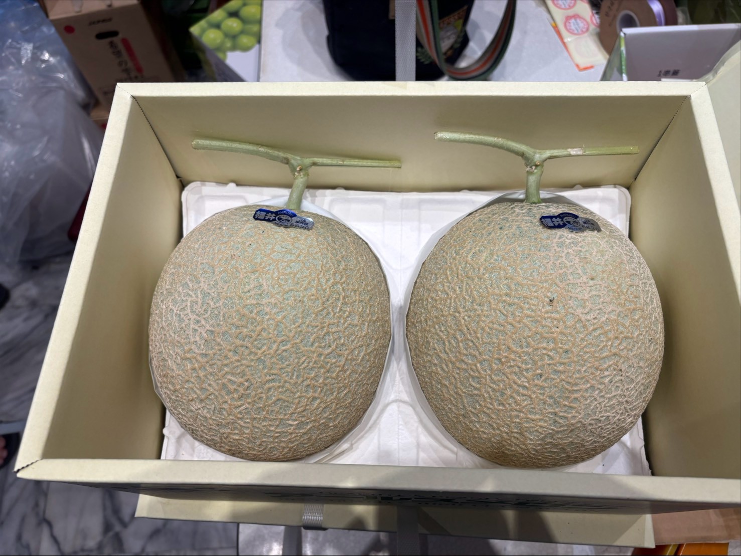 福井哈密瓜(ふくいメロン）